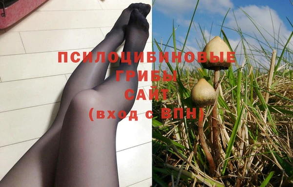 PSILOCYBIN Абинск