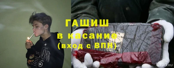 гашик Алексин