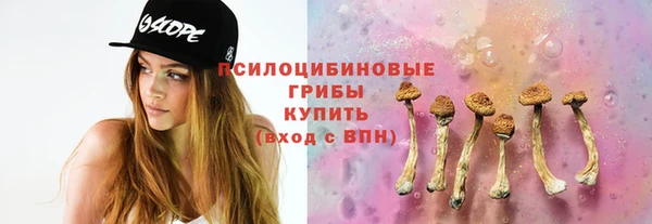 гашик Алексин