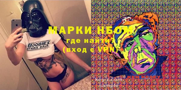 гашик Алексин