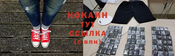 сатива Алзамай