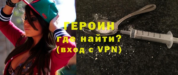 гашик Алексин