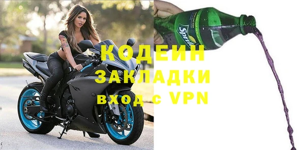 гашик Алексин