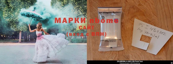 гашик Алексин